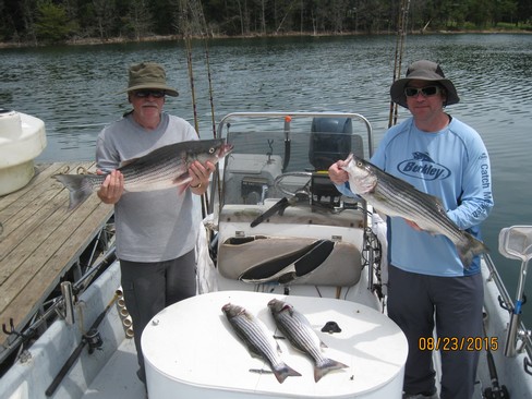 Nice Striped Bass